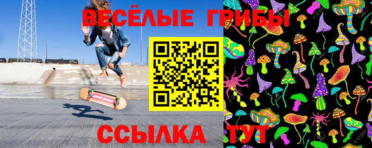 Псилоцибиновые грибы мухоморы Энгельс