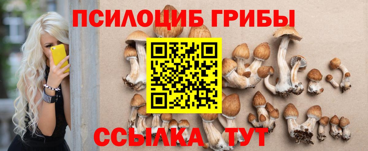 Псилоцибиновые грибы Psilocybine cubensis  Галлюциногенные грибы мухоморы  Вход с VPN  Энгельс 